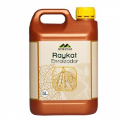 Райкат старт