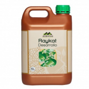 Райкат развитие