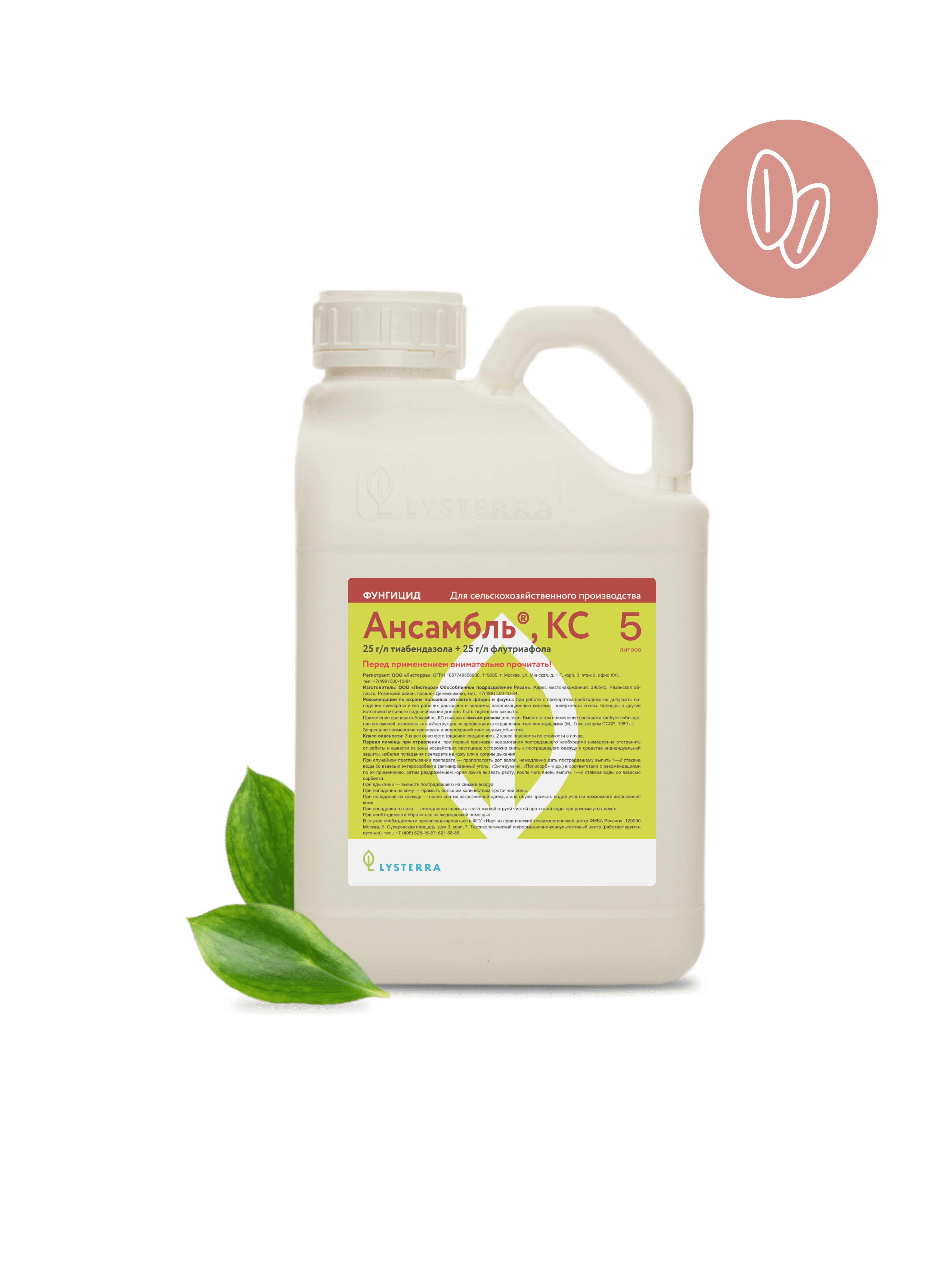 Ансамбль, КС Ансамбль, КС